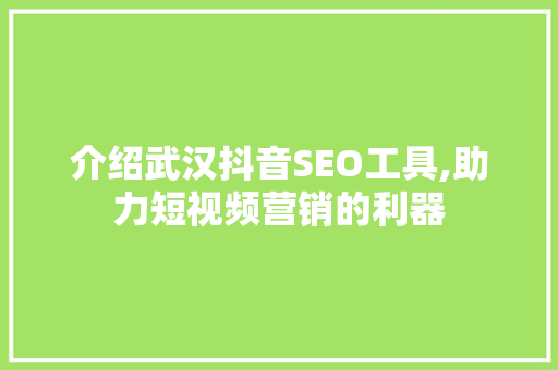介绍武汉抖音SEO工具,助力短视频营销的利器