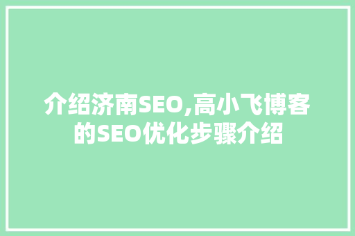 介绍济南SEO,高小飞博客的SEO优化步骤介绍