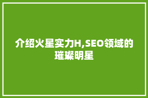 介绍火星实力H,SEO领域的璀璨明星
