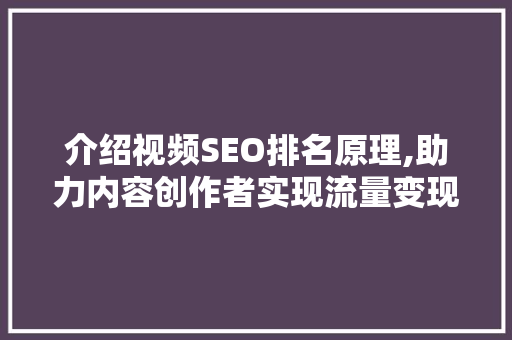 介绍视频SEO排名原理,助力内容创作者实现流量变现