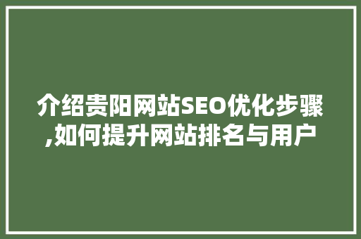 介绍贵阳网站SEO优化步骤,如何提升网站排名与用户体验