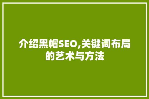 介绍黑帽SEO,关键词布局的艺术与方法