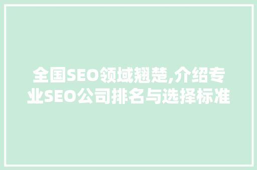 全国SEO领域翘楚,介绍专业SEO公司排名与选择标准