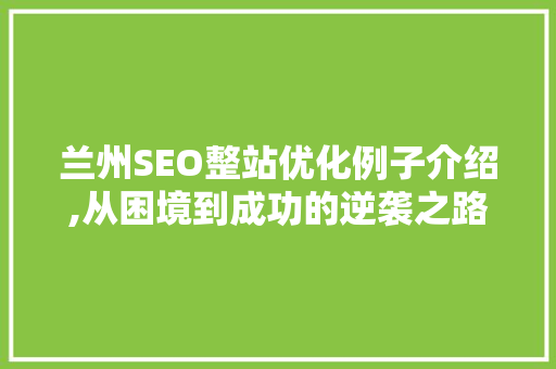 兰州SEO整站优化例子介绍,从困境到成功的逆袭之路