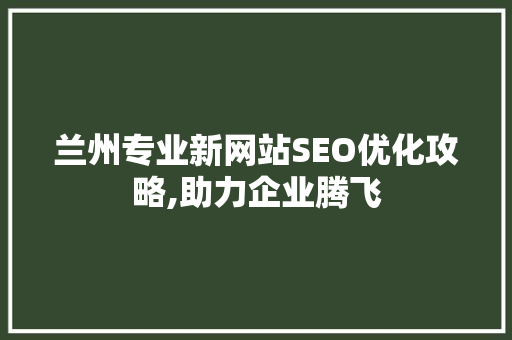 兰州专业新网站SEO优化攻略,助力企业腾飞
