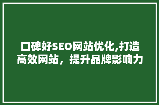 口碑好SEO网站优化,打造高效网站，提升品牌影响力