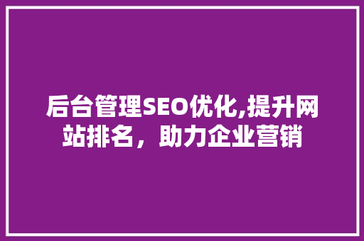 后台管理SEO优化,提升网站排名，助力企业营销