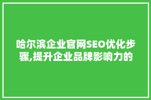 哈尔滨企业官网SEO优化步骤,提升企业品牌影响力的秘密武器 哈尔滨企业官网SEO优化步骤,提升企业品牌影响力的秘密武器