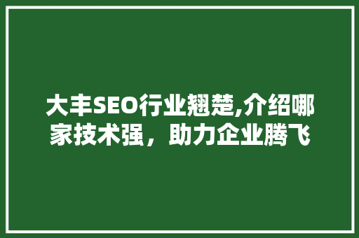 大丰SEO行业翘楚,介绍哪家技术强，助力企业腾飞