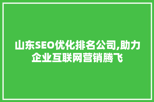 山东SEO优化排名公司,助力企业互联网营销腾飞
