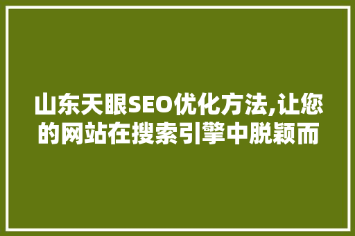 山东天眼SEO优化方法,让您的网站在搜索引擎中脱颖而出