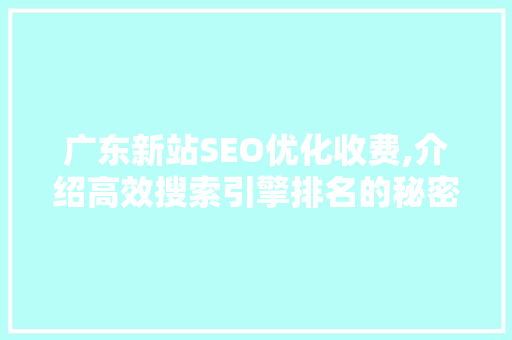 广东新站SEO优化收费,介绍高效搜索引擎排名的秘密武器