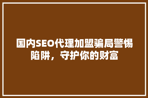 国内SEO代理加盟骗局警惕陷阱，守护你的财富