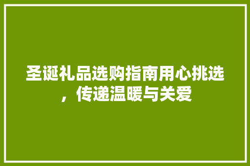 圣诞礼品选购指南用心挑选，传递温暖与关爱