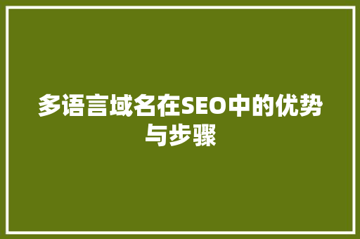 多语言域名在SEO中的优势与步骤
