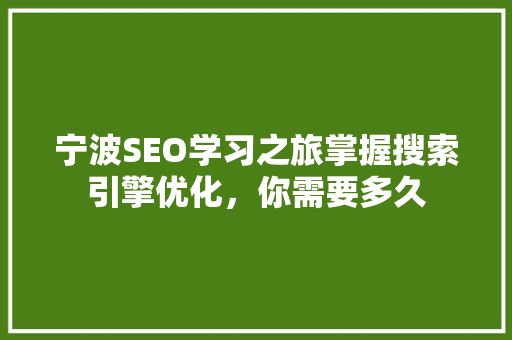 宁波SEO学习之旅掌握搜索引擎优化,你需要多久 宁波SEO学习之旅掌握搜索引擎优化,你需要多久