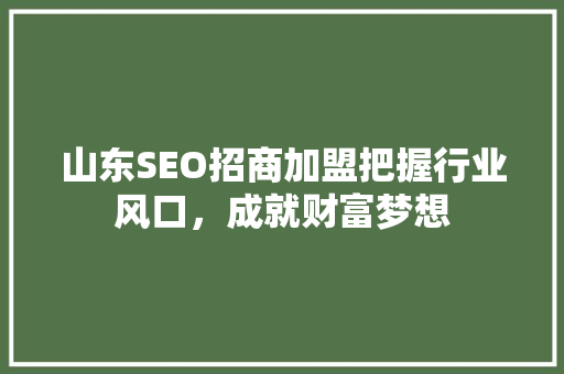 山东SEO招商加盟把握行业风口，成就财富梦想