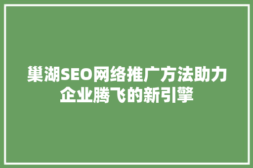 巢湖SEO网络推广方法助力企业腾飞的新引擎