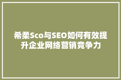 希柔Sco与SEO如何有效提升企业网络营销竞争力