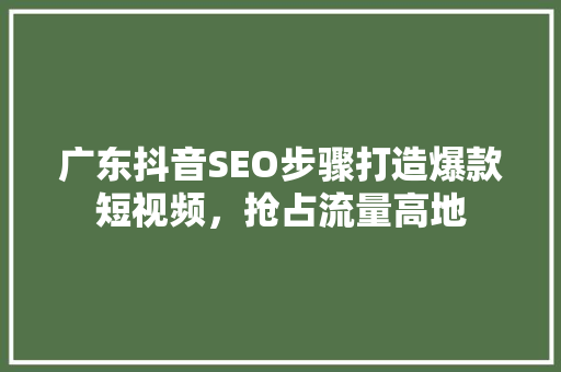 广东抖音SEO步骤打造爆款短视频，抢占流量高地