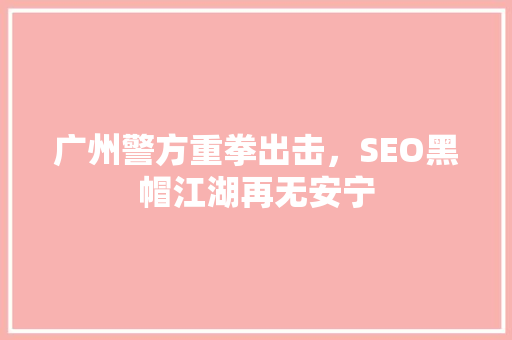 广州警方重拳出击，SEO黑帽江湖再无安宁