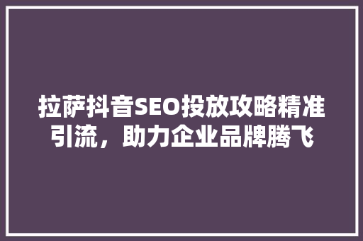 拉萨抖音SEO投放攻略精准引流，助力企业品牌腾飞