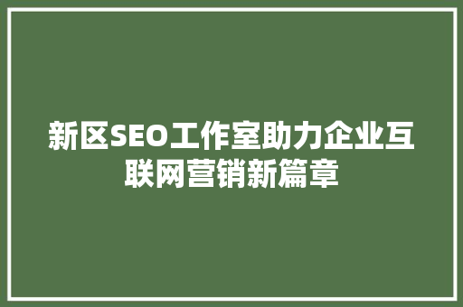 新区SEO工作室助力企业互联网营销新篇章 编程语言
