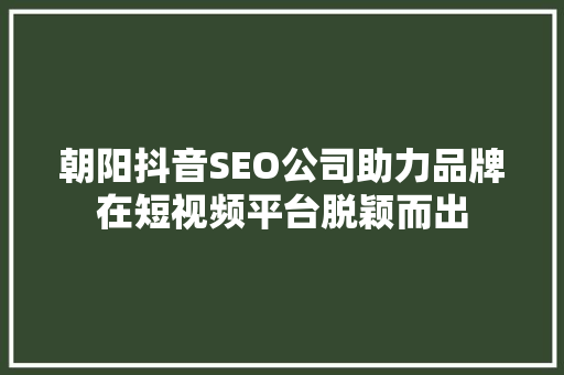 朝阳抖音SEO公司助力品牌在短视频平台脱颖而出