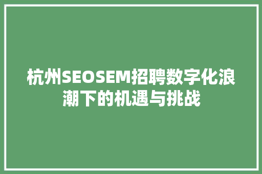 杭州SEOSEM招聘数字化浪潮下的机遇与挑战