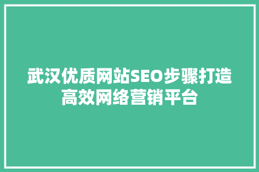 武汉优质网站SEO步骤打造高效网络营销平台 武汉优质网站SEO步骤打造高效网络营销平台