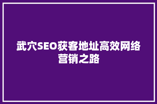 武穴SEO获客地址高效网络营销之路