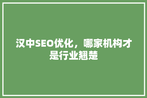 汉中SEO优化，哪家机构才是行业翘楚