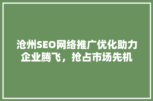 沧州SEO网络推广优化助力企业腾飞，抢占市场先机