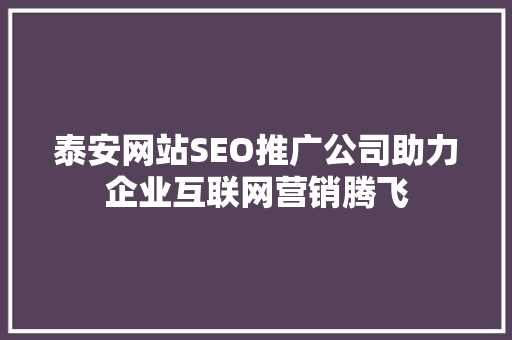 泰安网站SEO推广公司助力企业互联网营销腾飞