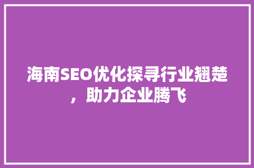 海南SEO优化探寻行业翘楚，助力企业腾飞