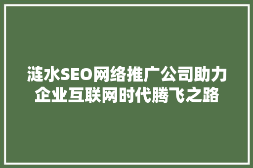 涟水SEO网络推广公司助力企业互联网时代腾飞之路