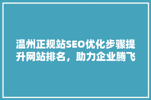 温州正规站SEO优化步骤提升网站排名，助力企业腾飞