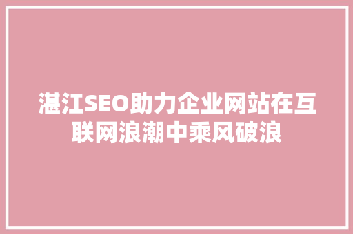 湛江SEO助力企业网站在互联网浪潮中乘风破浪