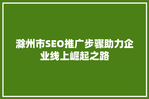 滁州市SEO推广步骤助力企业线上崛起之路