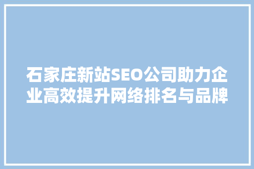 石家庄新站SEO公司助力企业高效提升网络排名与品牌影响力