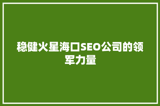 稳健火星海口SEO公司的领军力量