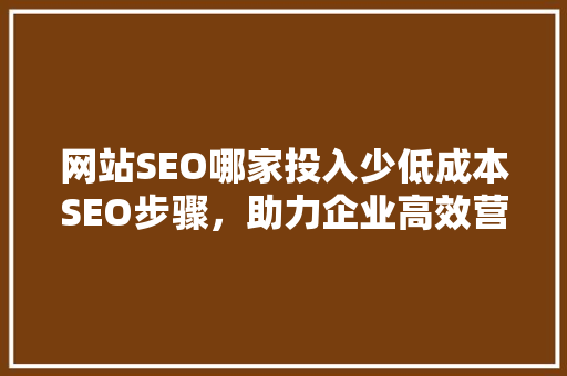 网站SEO哪家投入少低成本SEO步骤,助力企业高效营销 网站SEO哪家投入少低成本SEO步骤,助力企业高效营销