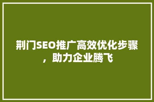 荆门SEO推广高效优化步骤，助力企业腾飞