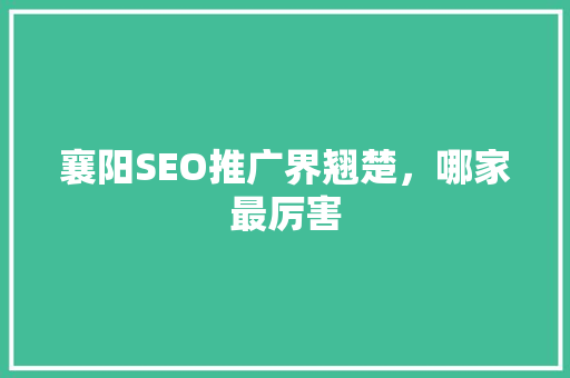 襄阳SEO推广界翘楚，哪家最厉害