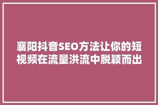 襄阳抖音SEO方法让你的短视频在流量洪流中脱颖而出 编程语言