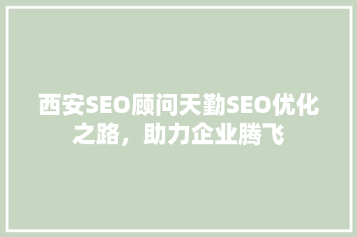 西安SEO顾问天勤SEO优化之路，助力企业腾飞