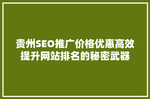 贵州SEO推广价格优惠高效提升网站排名的秘密武器