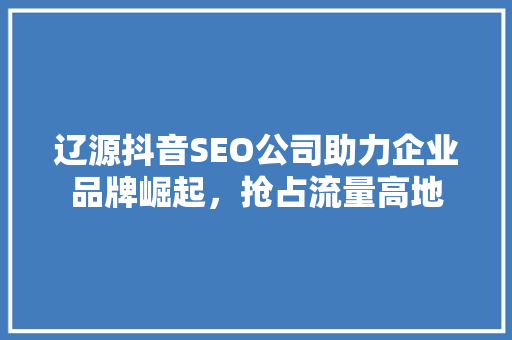 辽源抖音SEO公司助力企业品牌崛起，抢占流量高地