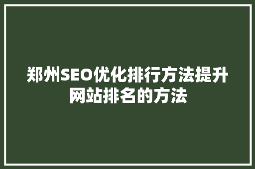 郑州SEO优化排行方法提升网站排名的方法