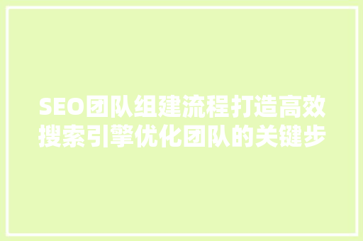 SEO团队组建流程打造高效搜索引擎优化团队的关键步骤